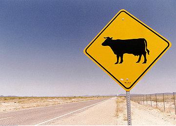 《圣兽之王》公布最新资讯 同伴角色及斗技场、纹章等要素